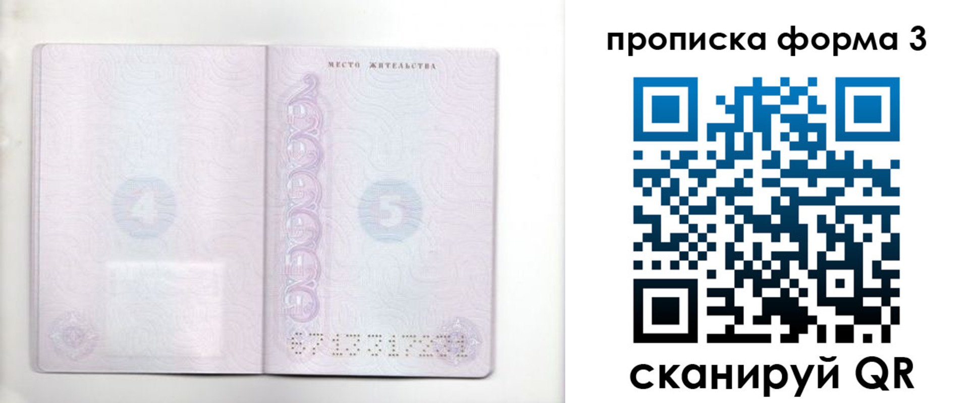 прописка гарантия в Пензе